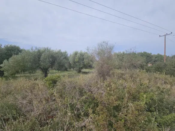 Land Of 5100 M² In Kassandra, Chalkidiki