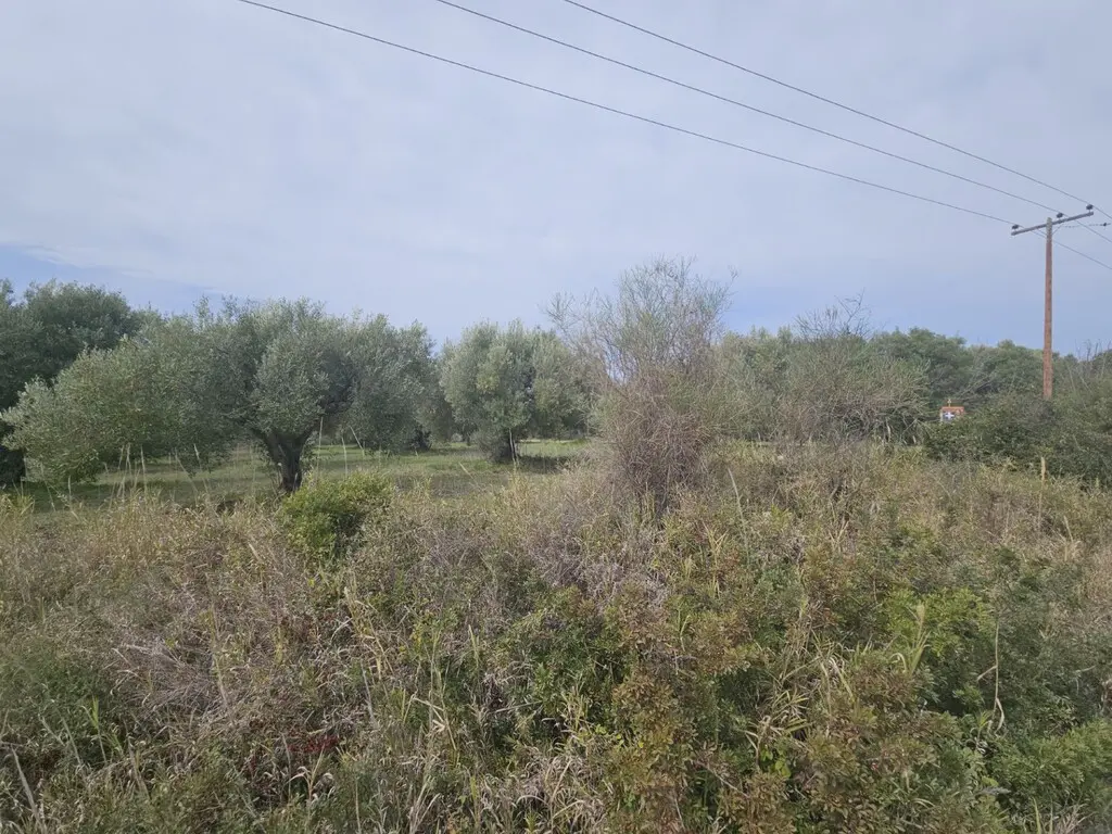 Land Of 5100 M² In Kassandra, Chalkidiki