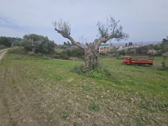 Land Of 1666 M² In Kassandra, Chalkidiki
