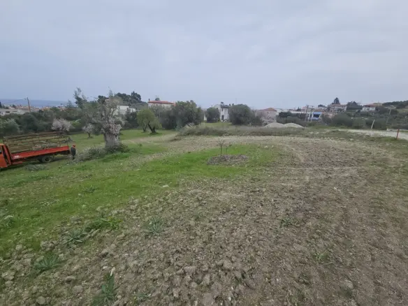 Land Of 1666 M² In Kassandra, Chalkidiki