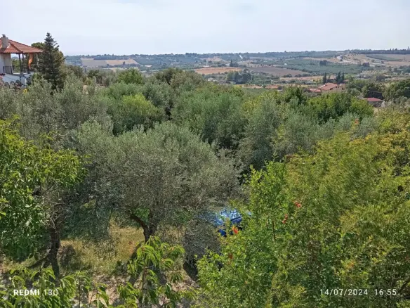 Detached House Of 168 M² In Chalkidiki