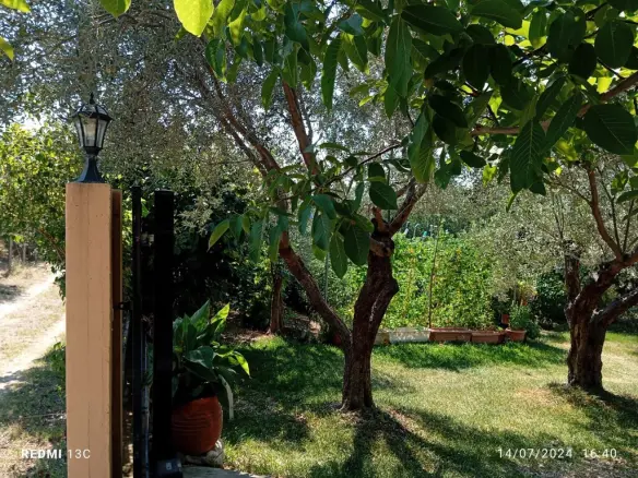 Detached House Of 168 M² In Chalkidiki