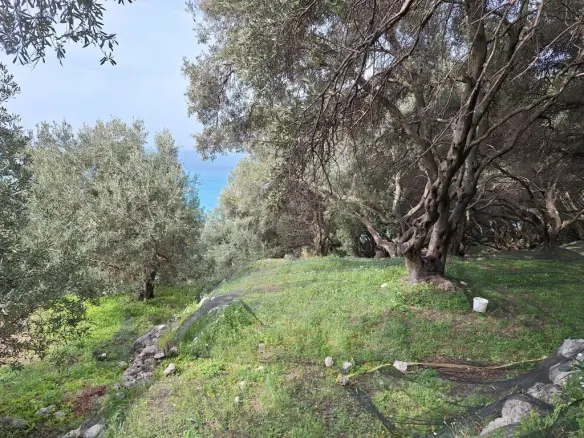Land Of 980 M² In Corfu