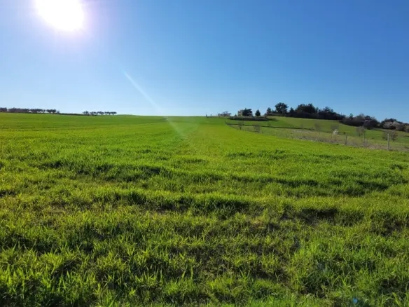 Land Of 5500 M² In The Suburbs Of Thessaloniki