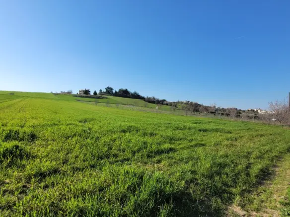 Land Of 5500 M² In The Suburbs Of Thessaloniki