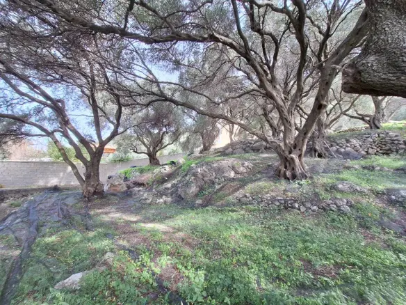 Land Of 980 M² In Corfu