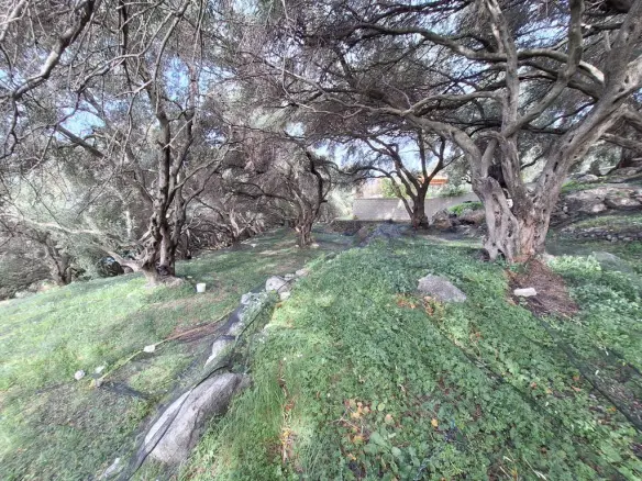 Land Of 980 M² In Corfu