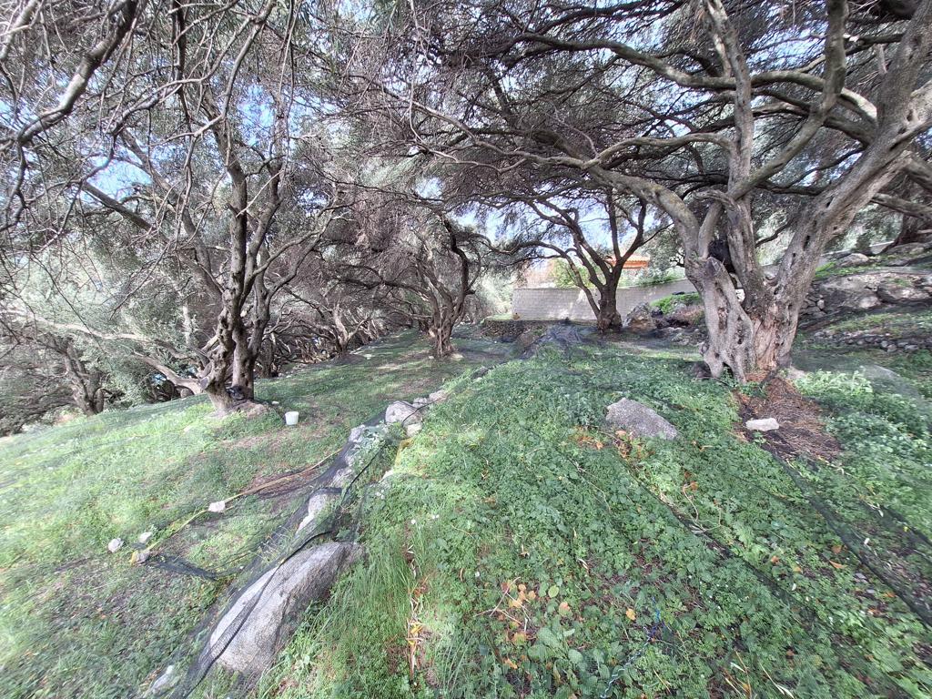 Land Of 980 M² In Corfu