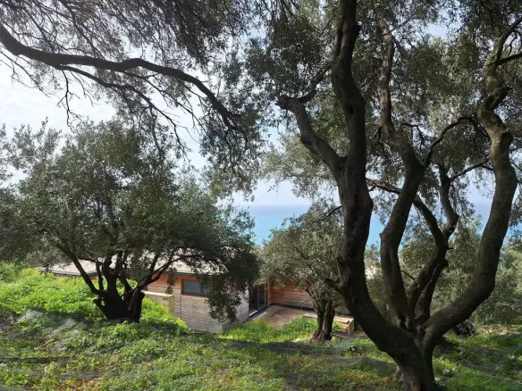 Land Of 980 M² In Corfu