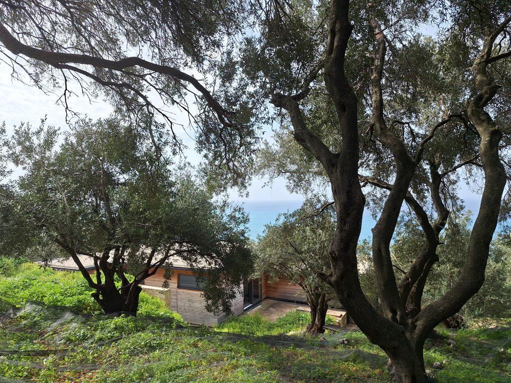 Land Of 980 M² In Corfu