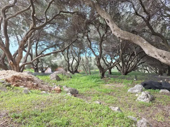 Land Of 980 M² In Corfu