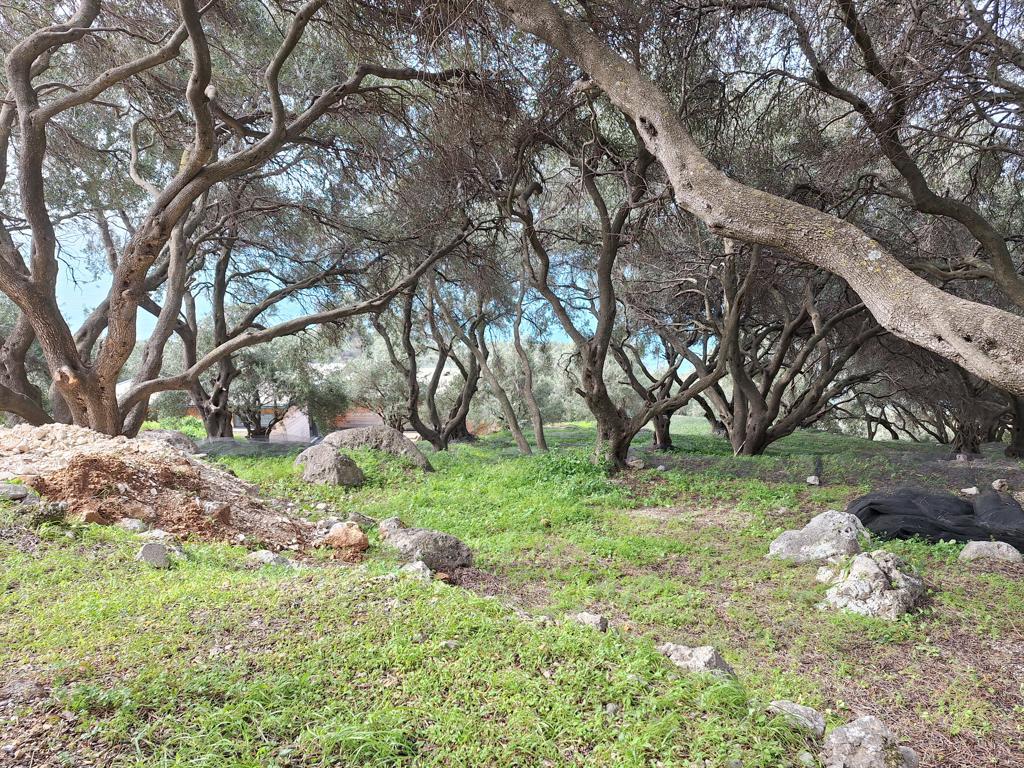 Land Of 980 M² In Corfu