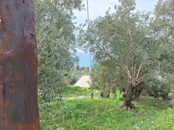 Land Of 980 M² In Corfu