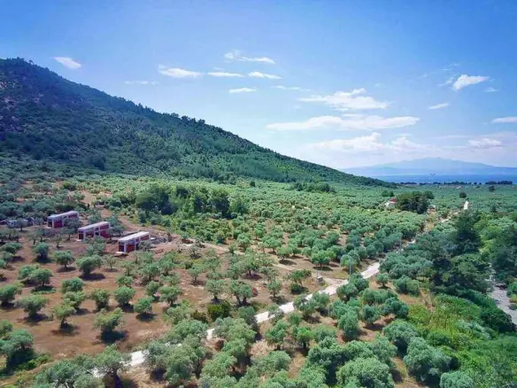 Detached House Of 65 M² In Thassos