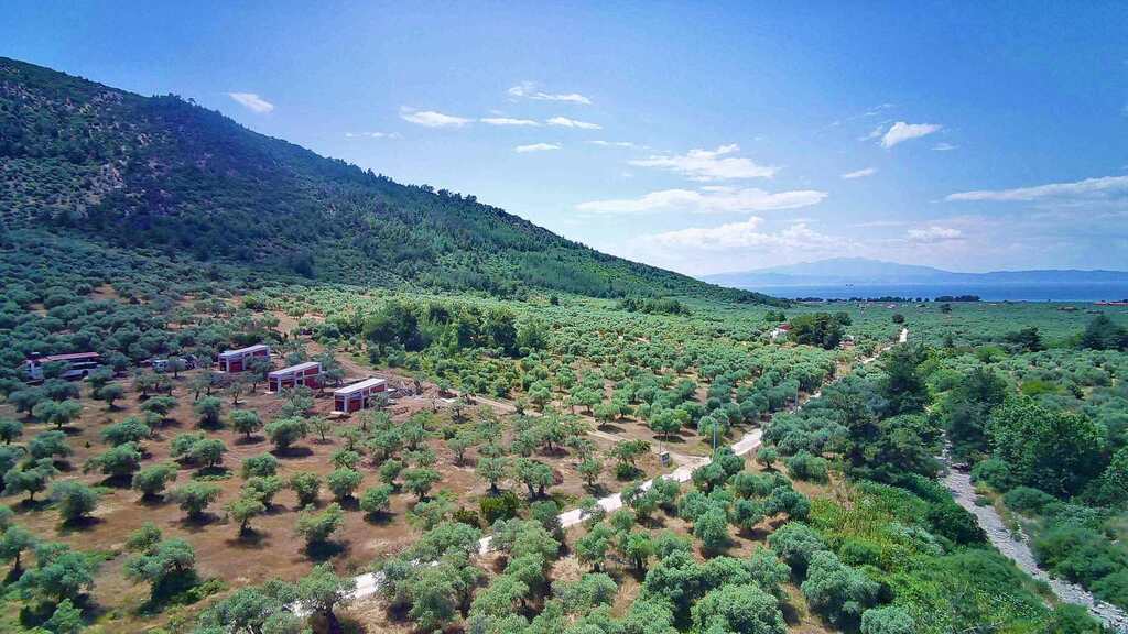 Detached House Of 65 M² In Thassos