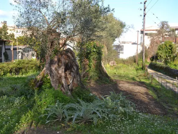 Land Of 930 M² In Corfu