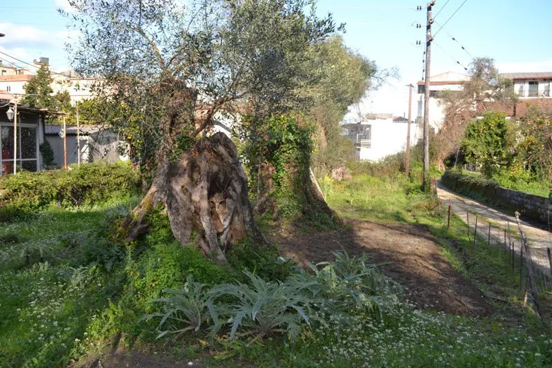 Land Of 930 M² In Corfu