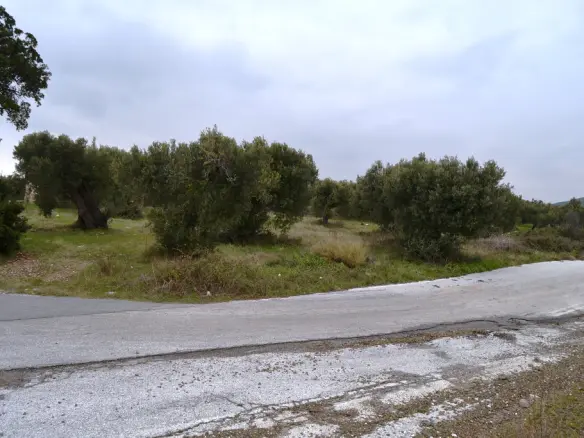 Land Of 34000 M² In Chalkidiki