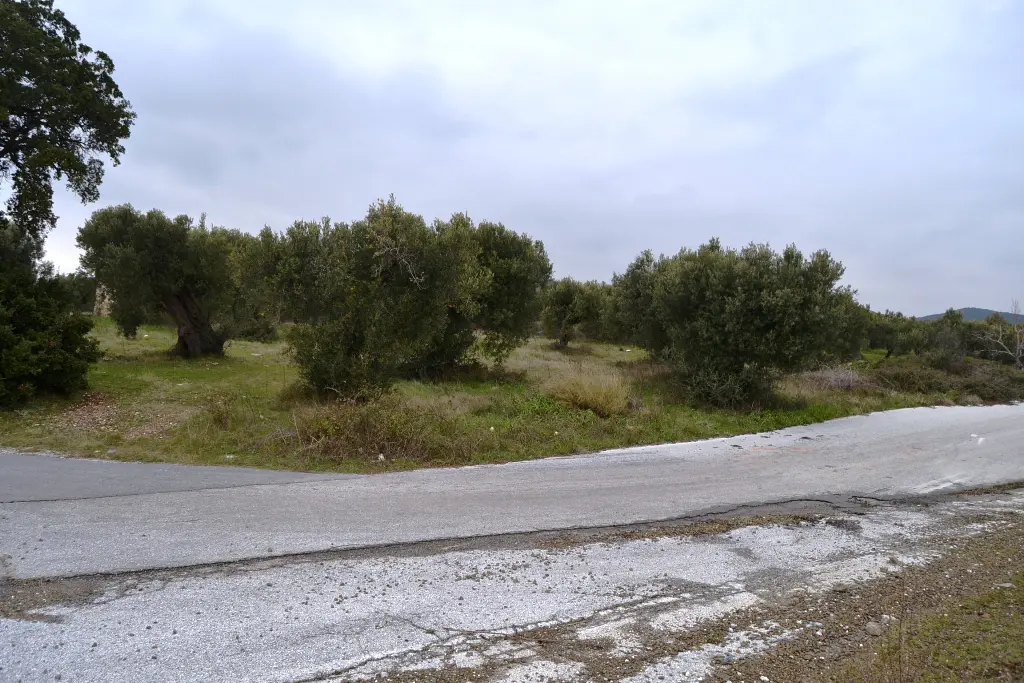 Land Of 34000 M² In Chalkidiki
