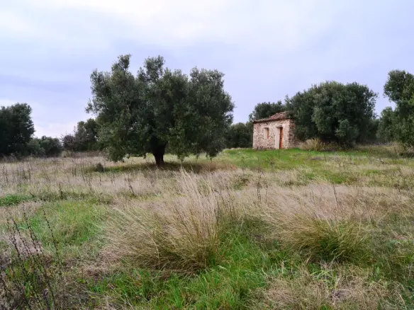 Land Of 34000 M² In Chalkidiki