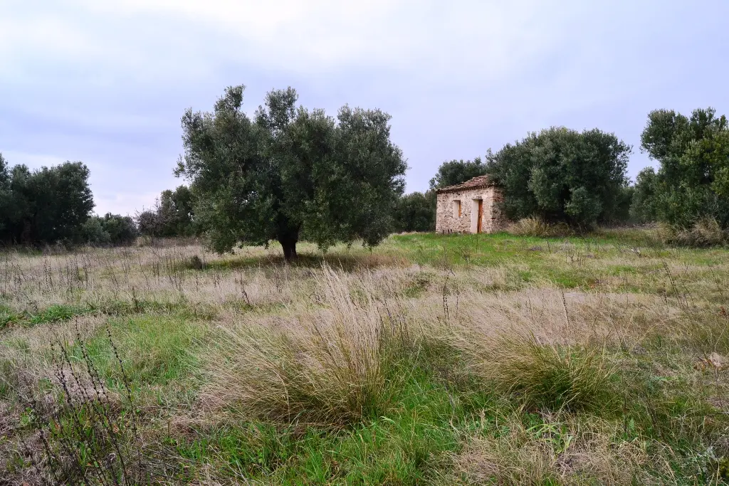 Land Of 34000 M² In Chalkidiki