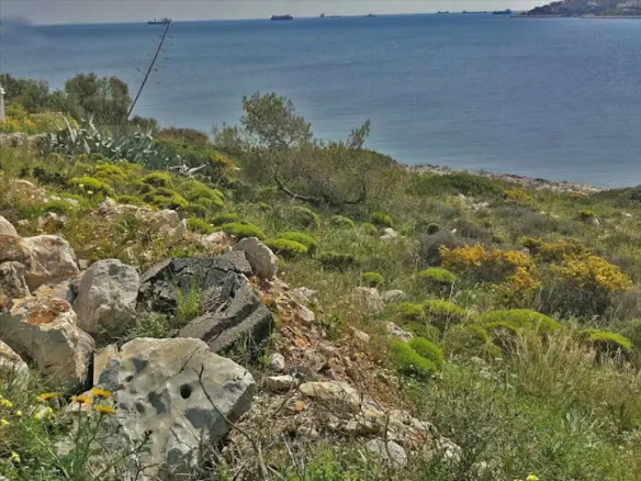 Land Of 9000 M² In Attica