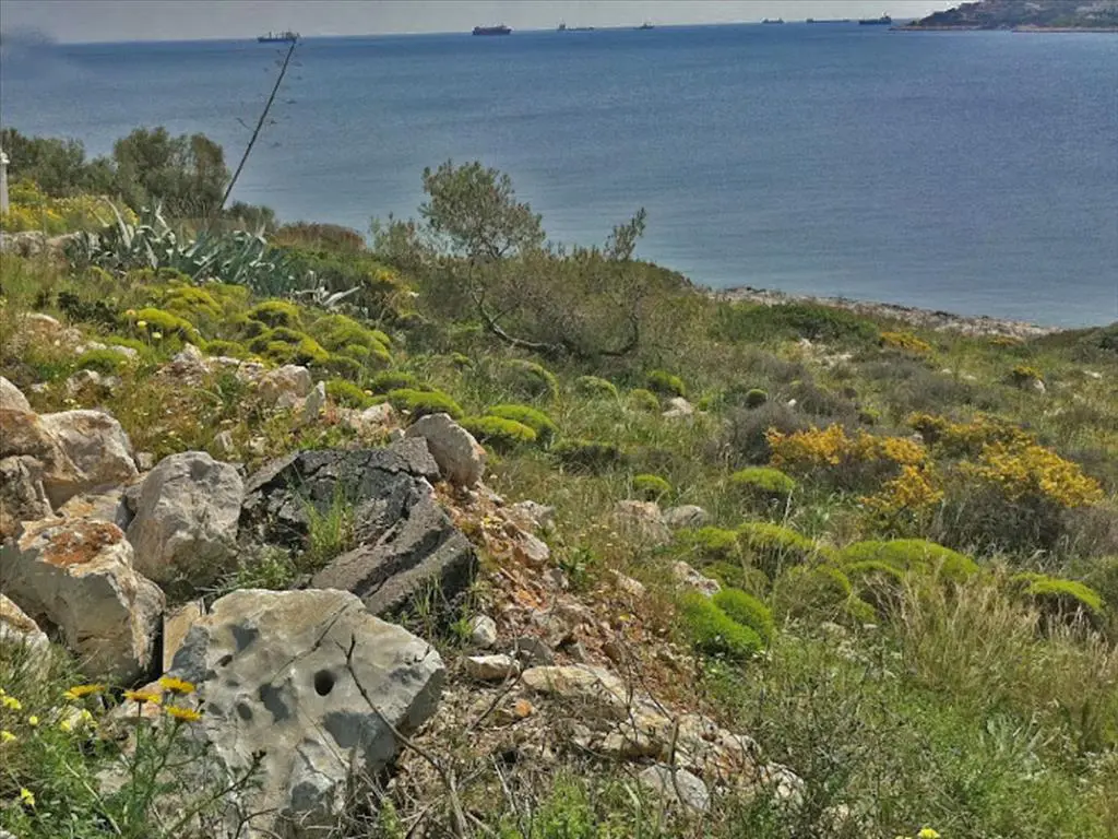 Land Of 9000 M² In Attica