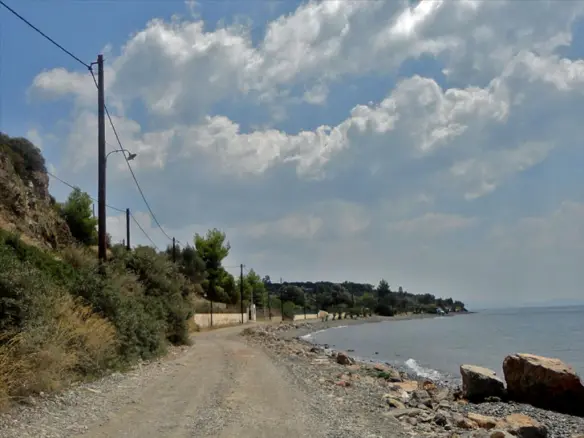 Land Of 6500 M² On Euboea Island