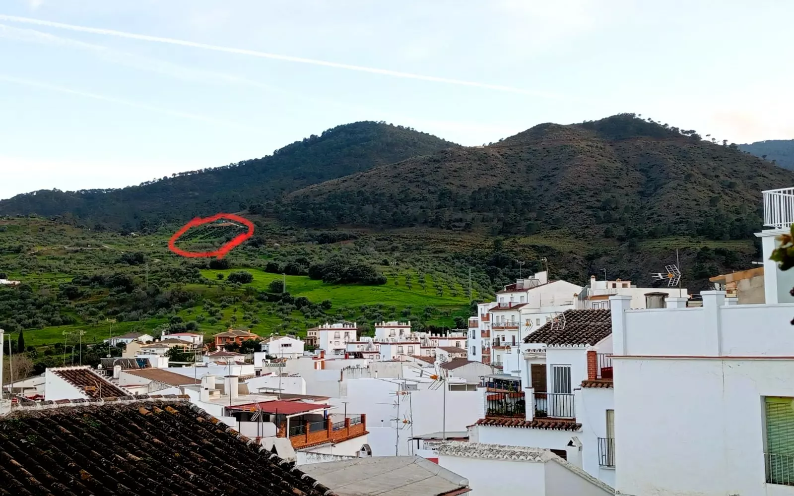 Rustic Land For A Rural Tourist Complex In Sierra De Las Nieves In Tolox (malaga)