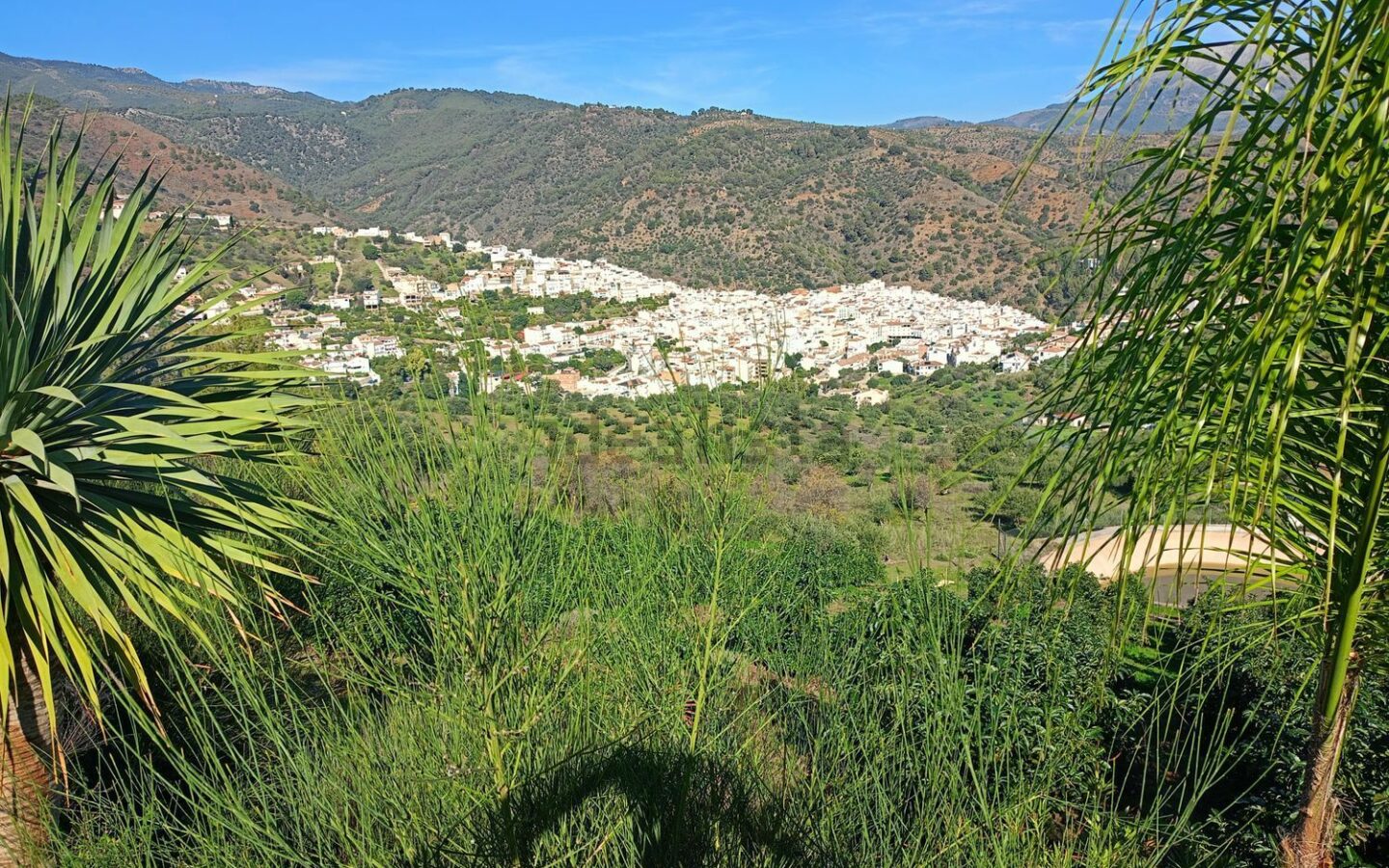 Rustic Land For A Rural Tourist Complex In Sierra De Las Nieves In Tolox (malaga)