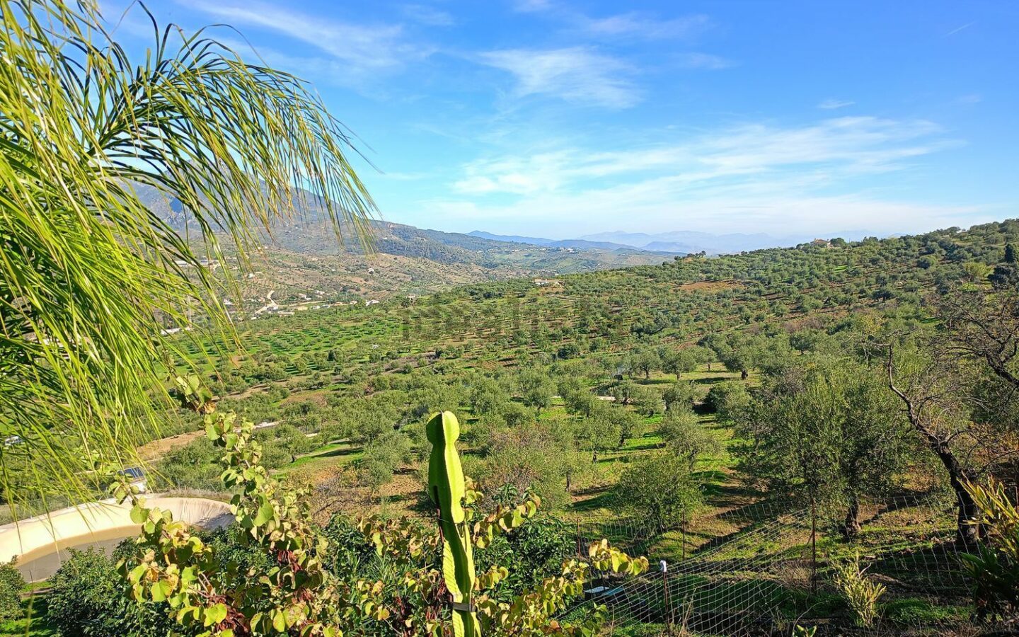 Rustic Land For A Rural Tourist Complex In Sierra De Las Nieves In Tolox (malaga)