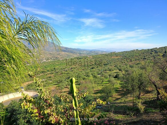 Rustic Land For A Rural Tourist Complex In Sierra De Las Nieves In Tolox (malaga)