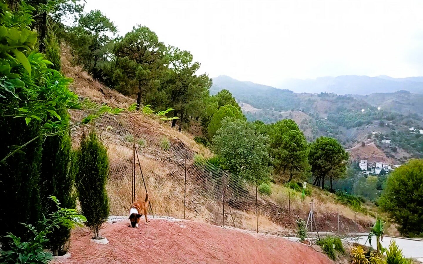 Rustic Land For A Rural Tourist Complex In Sierra De Las Nieves In Tolox (malaga)