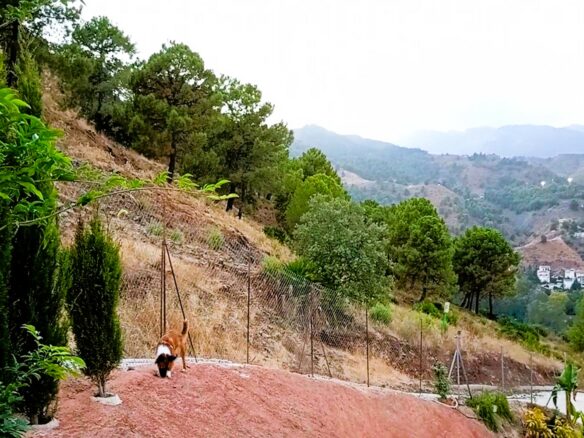 Rustic Land For A Rural Tourist Complex In Sierra De Las Nieves In Tolox (malaga)