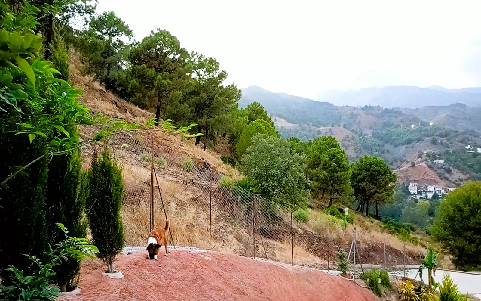 Rustic Land For A Rural Tourist Complex In Sierra De Las Nieves In Tolox (malaga)