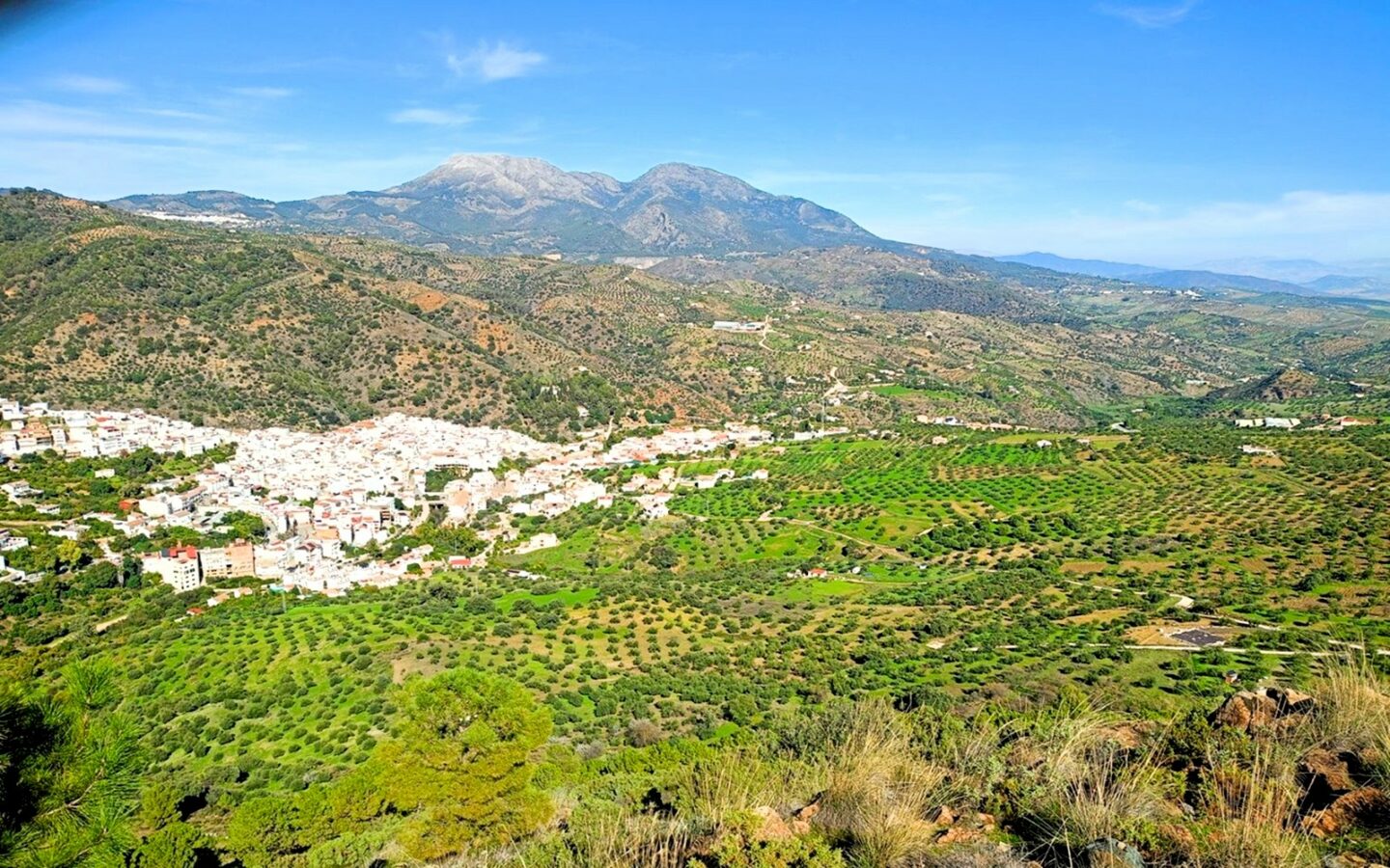 Rustic Land For A Rural Tourist Complex In Sierra De Las Nieves In Tolox (malaga)