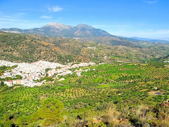 Rustic Land For A Rural Tourist Complex In Sierra De Las Nieves In Tolox (malaga)