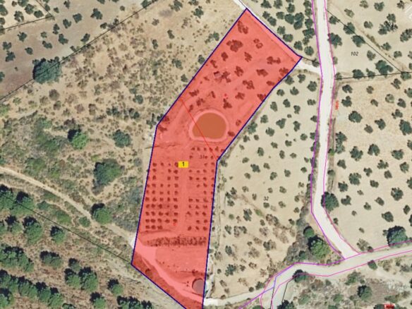 Rustic Land For A Rural Tourist Complex In Sierra De Las Nieves In Tolox (malaga)