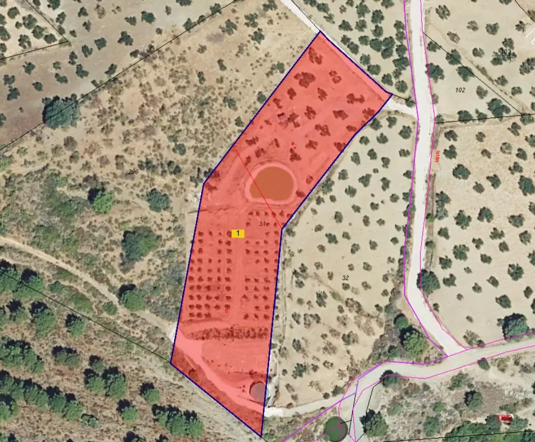 Rustic Land For A Rural Tourist Complex In Sierra De Las Nieves In Tolox (malaga)