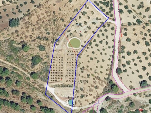 Rustic Land For A Rural Tourist Complex In Sierra De Las Nieves In Tolox (malaga)
