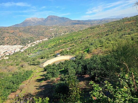Rustic Land For A Rural Tourist Complex In Sierra De Las Nieves In Tolox (malaga)