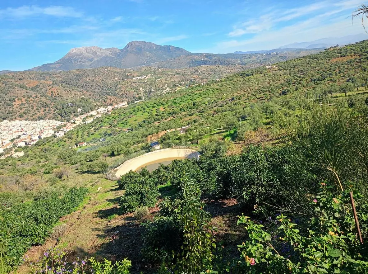 Rustic Land For A Rural Tourist Complex In Sierra De Las Nieves In Tolox (malaga)