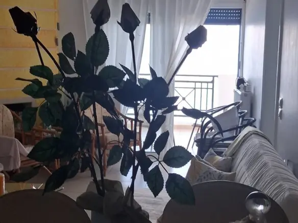 For Sale Flat 82 M² In Western Peloponnese