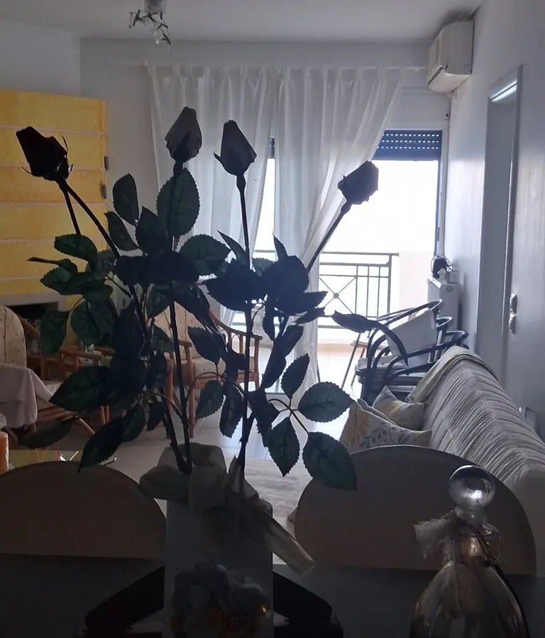 For Sale Flat 82 M² In Western Peloponnese