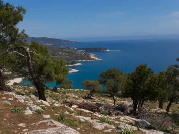 Land Of 4830 M² On The Island Of Thassos