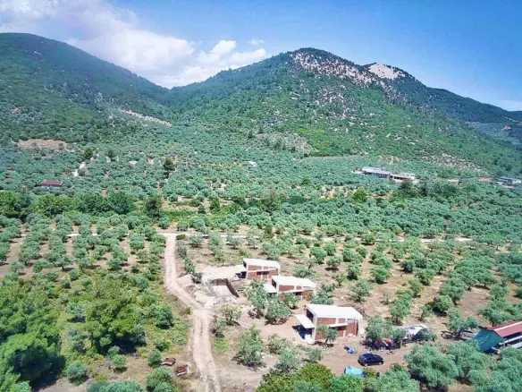 Detached House Of 65 M² In Thassos