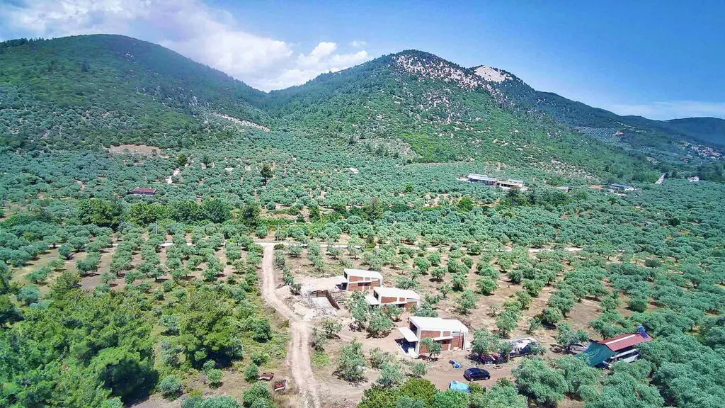 Detached House Of 65 M² In Thassos