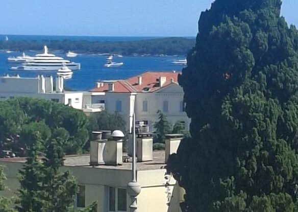 Stunning Renovated 1 Bedroom Luxury Apartment For Sale By Owner