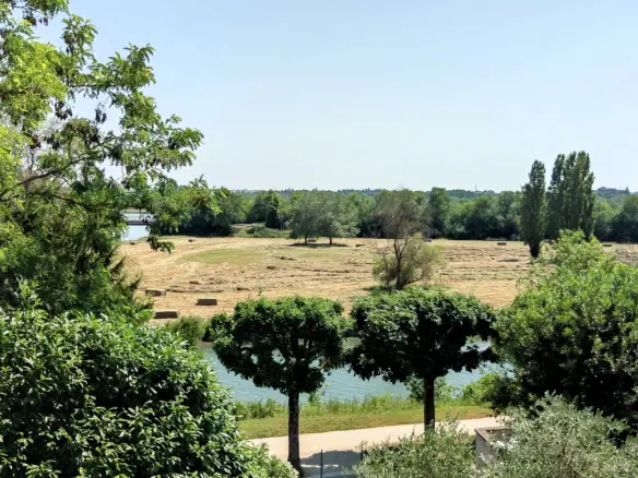 Maison De Maitre Of 7 Bedrooms With Garden, Garage, And River View In Saintes