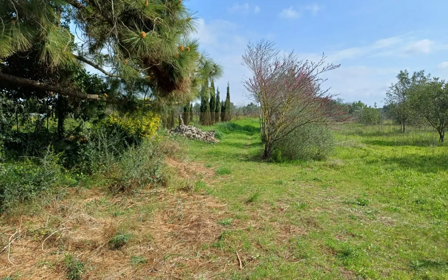 Land In Santa Maria Del Cami, Spain (72 M²)